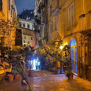 Palm's House , Naples Italie